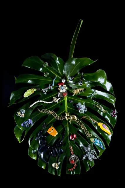 A monstera leaf displays an assortment of jewelry, including necklaces, earrings, and brooches, against a stark black background.