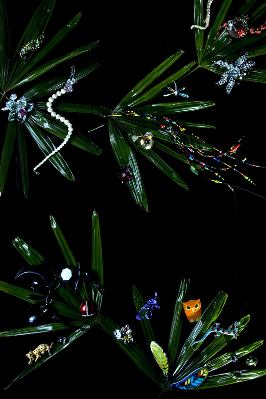 Overhead studio shot of jewelry on palm fronds against a black background showcases pearls, animal brooches, and bright colors.