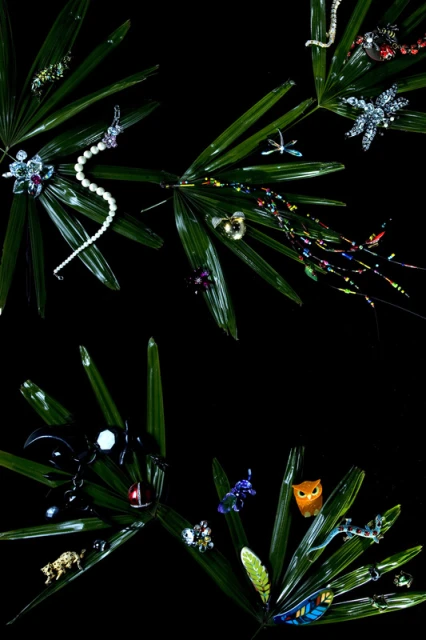 Overhead studio shot of jewelry on palm fronds against a black background showcases pearls, animal brooches, and bright colors.
