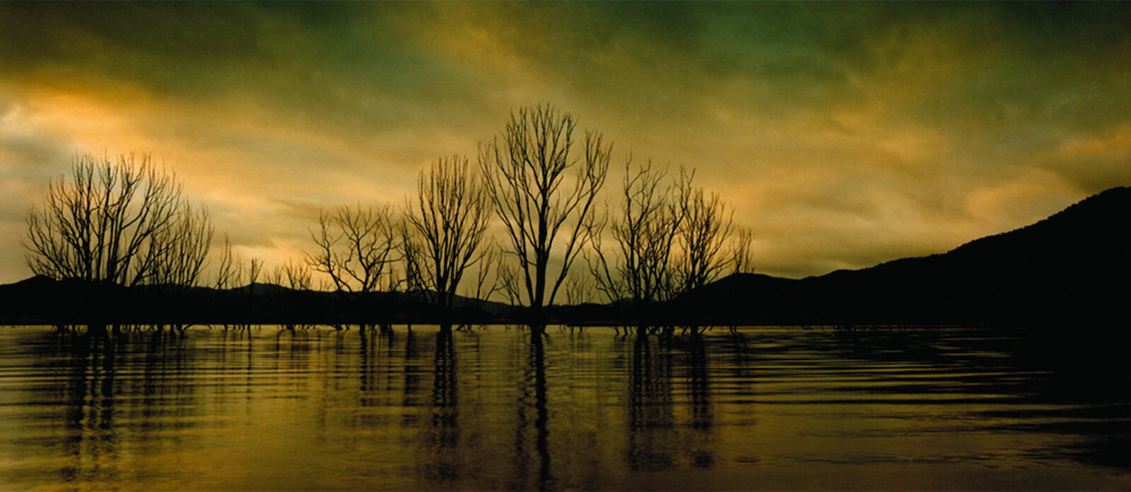 Scenic view of silhouettes of barren trees reflected in calm water against a dramatic, golden-hued sky at dusk or dawn.