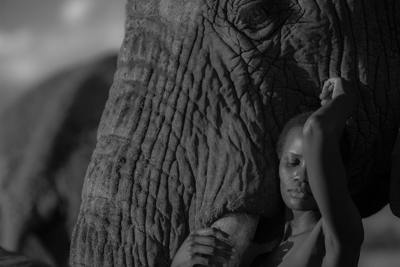Monochrome portrait of an adult female with eyes closed, standing next to and embracing an elephant with its large tusk visible.