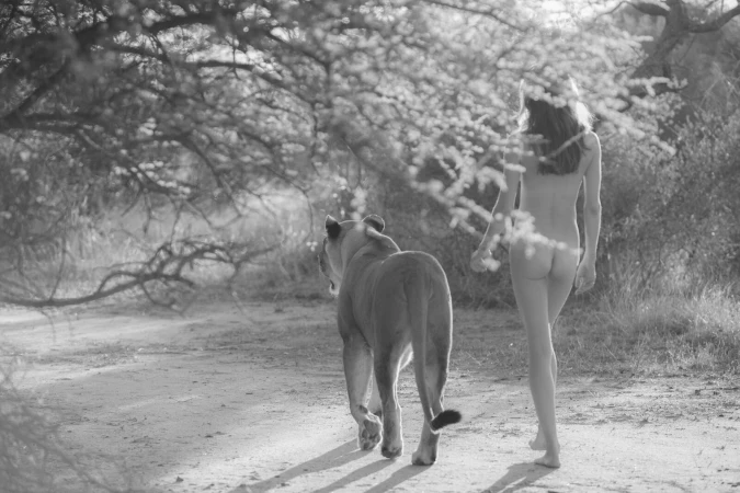 Monochrome shot of a nude adult female walking alongside a lion in a natural outdoor environment with trees and foliage.
