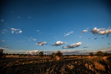 Vast open landscape under a deep blue sky with scattered white clouds, photographed by Steven Murray.
