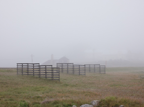 Misty rural landscape with wooden fences enclosing a grassy field, a distant house, and an overcast sky creating a tranquil scene.