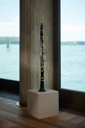 Clarinet stands on a podium in front of a window with a view of a lake and sky. The black clarinet is sleek and modern.