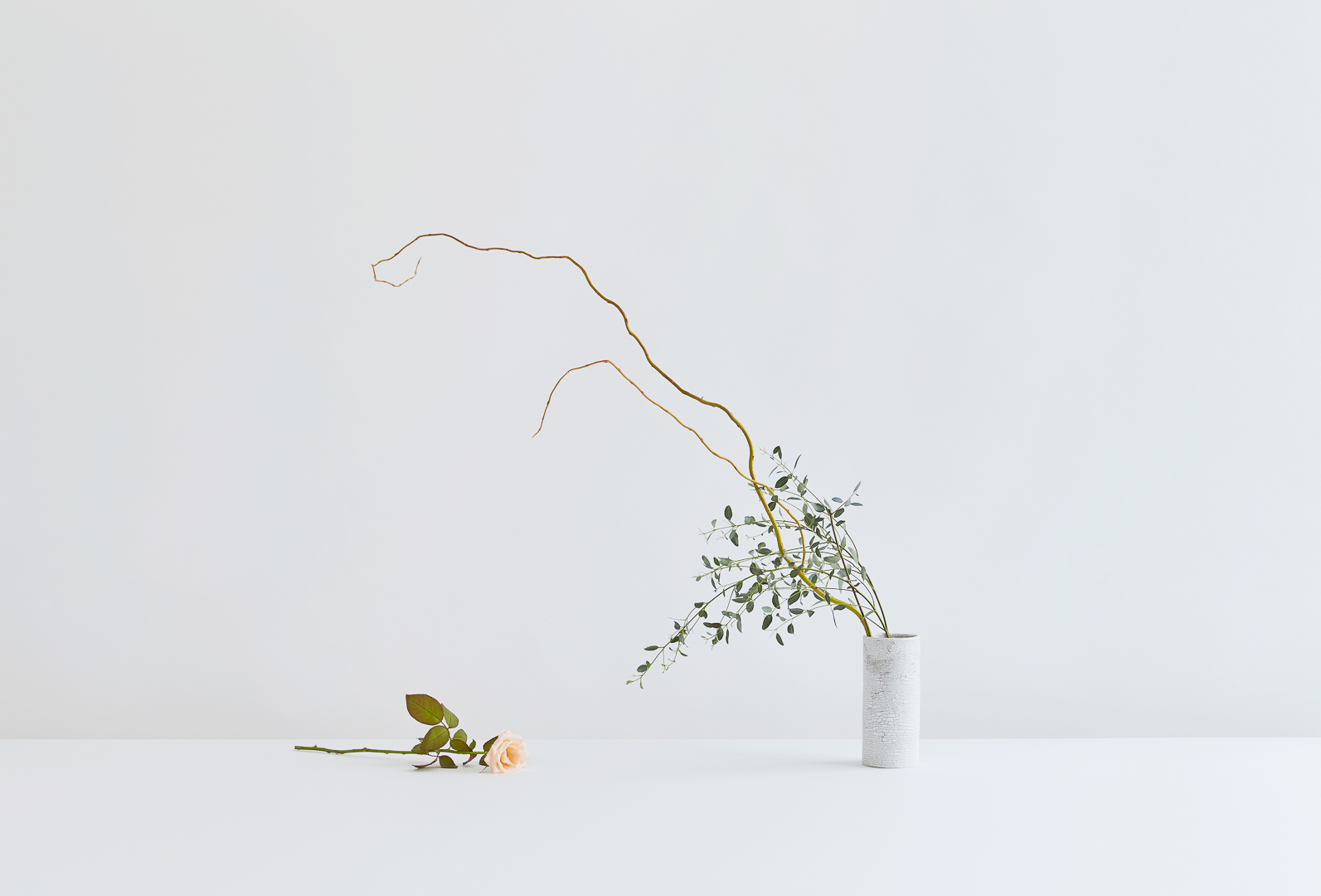 Elegant still life of a rose and floral arrangement with branches in a vase against a white background in a minimalist composition.