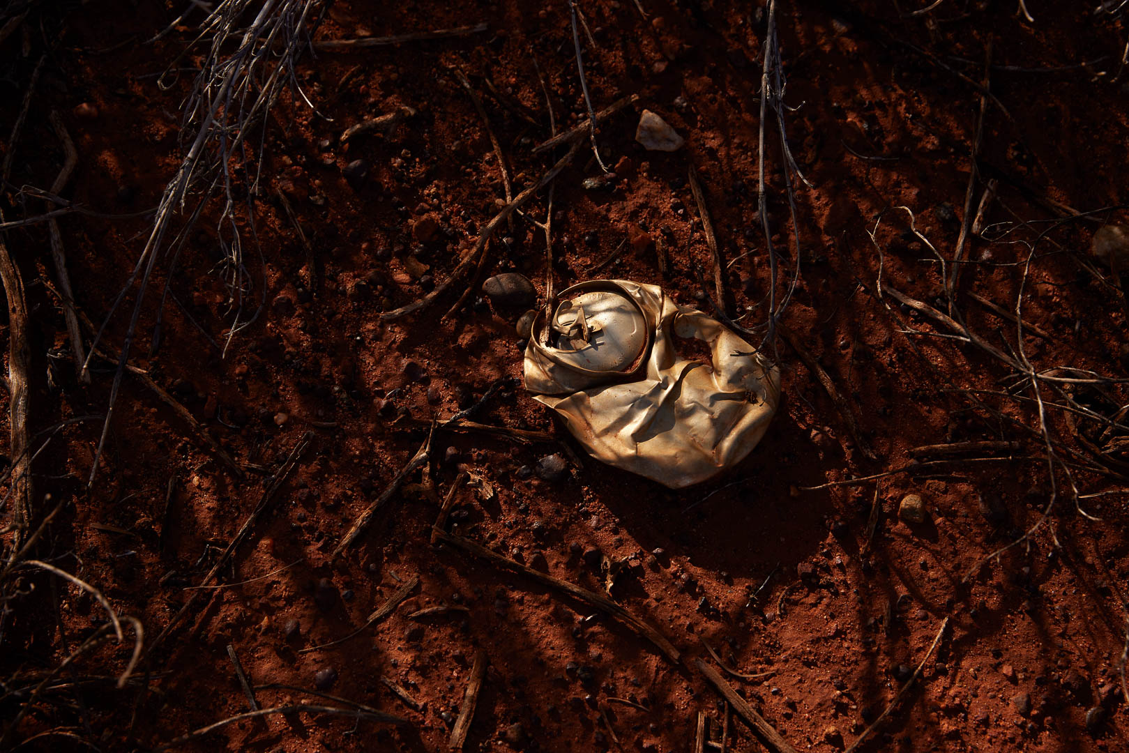 Crushed metal can discarded on red dirt ground surrounded by dry twigs and branches in arid outdoor environment with natural light.