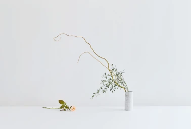 Minimalist still life with a slender ceramic vase holding delicate foliage and a single fallen rose on a white surface.