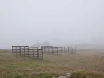 Wooden fences in a misty rural landscape with a small house in the background under heavy fog.