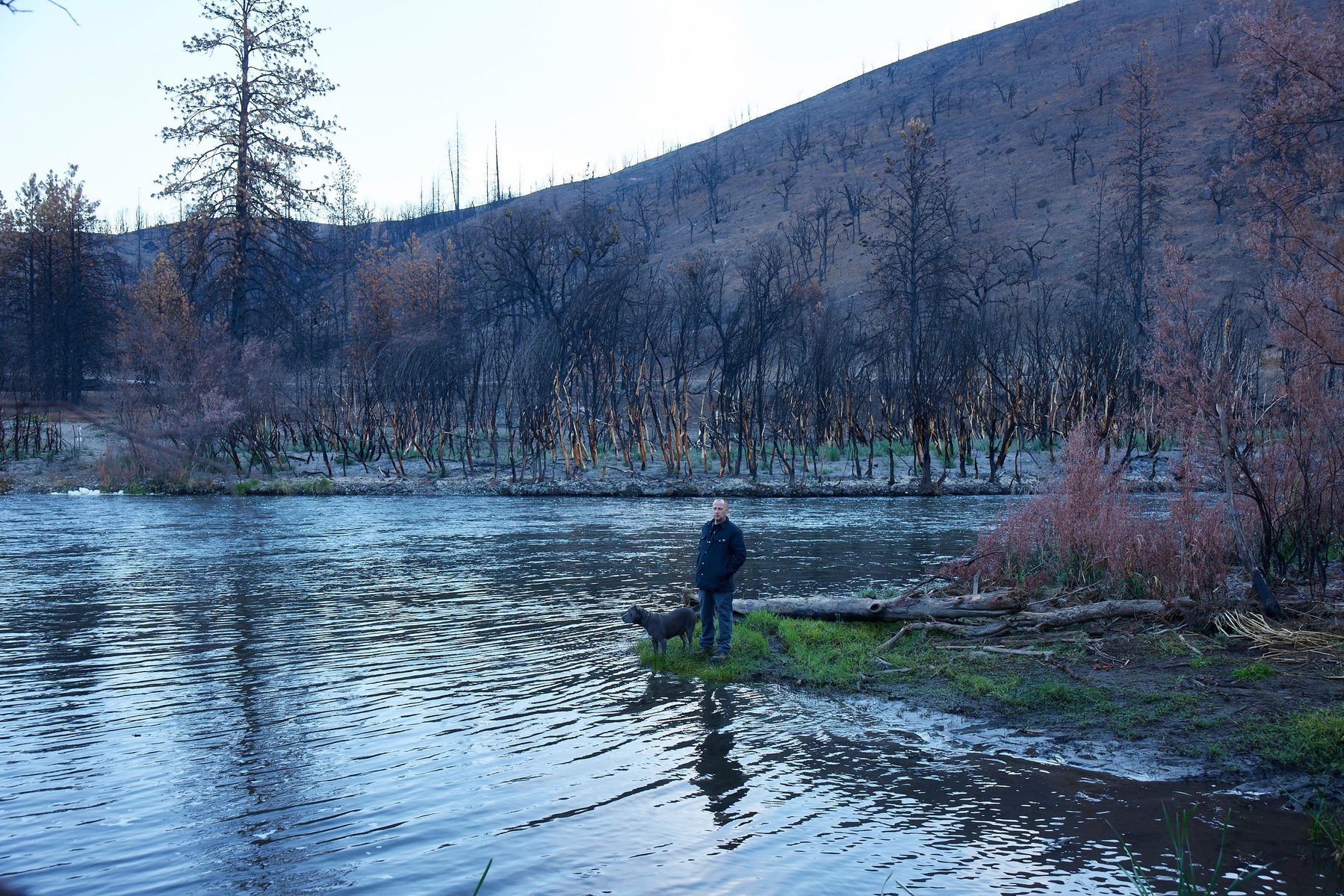 Adult male stands with dog beside a river, with a forest and mountain in the background, under a blue sky in a daytime outdoor scene.