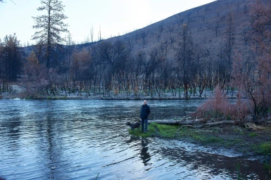 Man standing on a grassy riverbank with a grey dog next to him, with a wide river and a burnt hillside in the background.