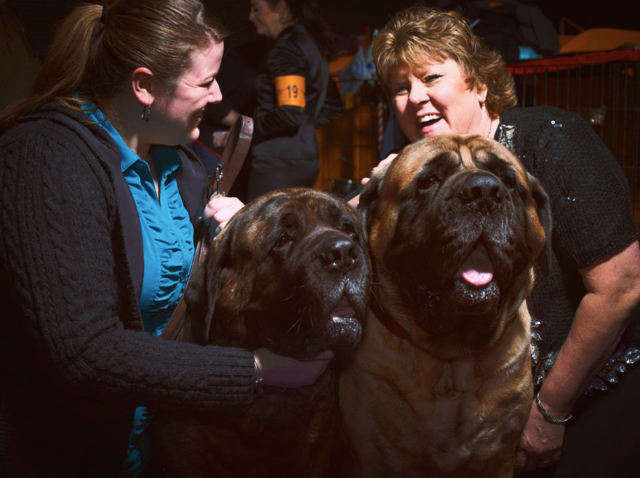 Two smiling women pose with two large dogs indoors, capturing a happy moment with the animals looking toward the camera.
