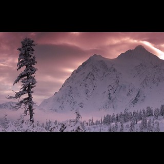 Snowy mountain range with coniferous trees under a cloudy sky at dusk or dawn, capturing a serene winter landscape in a wide shot.