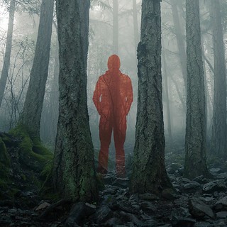 Red figure stands in a foggy forest scene. Tall trees frame the figure and the muted colors create a mysterious, eerie mood.