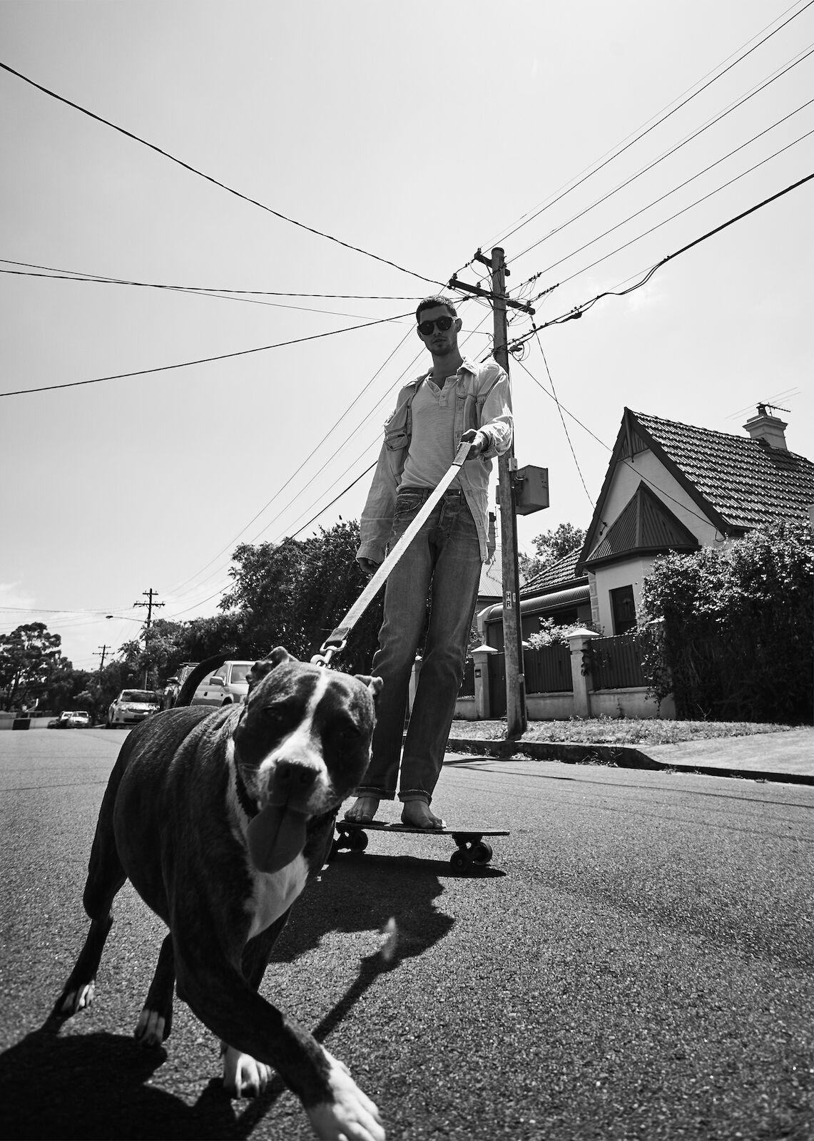 Black and white photo of a dog on a leash pulling a man on a skateboard down the street on a sunny day with houses in the background.