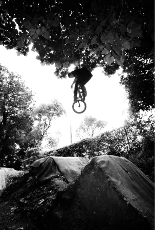 Mitch Hay