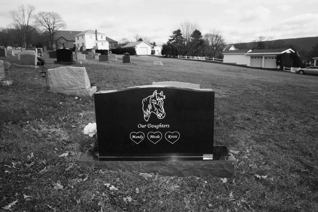 Gravestone in a cemetery with horse head and text 'Our Daughters, Mandy, Nicole, Kristi,' set against a backdrop of green grass and houses.