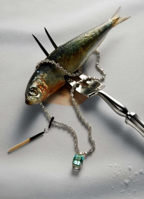 Conceptual still life: sardine with silver fork, diamond necklace with aquamarine pendant, and burnt matchstick on a white background.