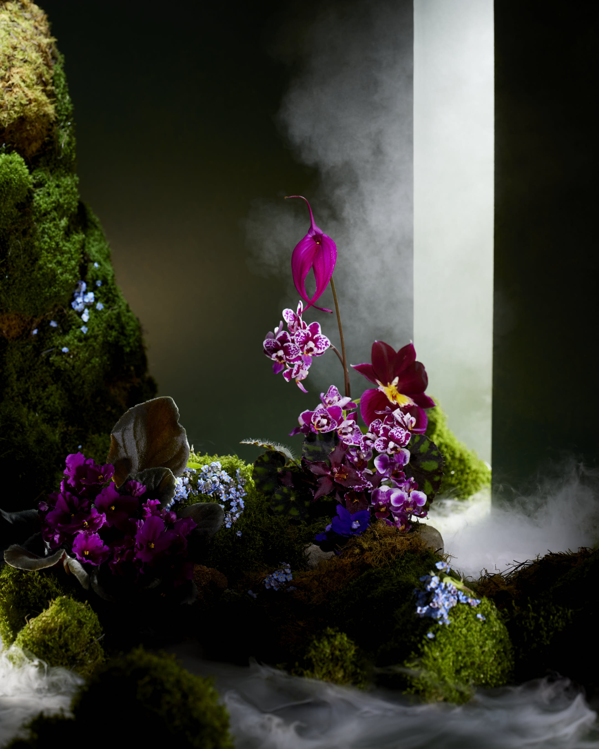 Dramatic floral arrangement featuring orchids, moss, and ethereal vapor against a stark geometric doorway and a dark background.