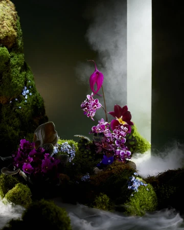 Dramatic floral arrangement featuring orchids, moss, and ethereal vapor against a stark geometric doorway and a dark background.