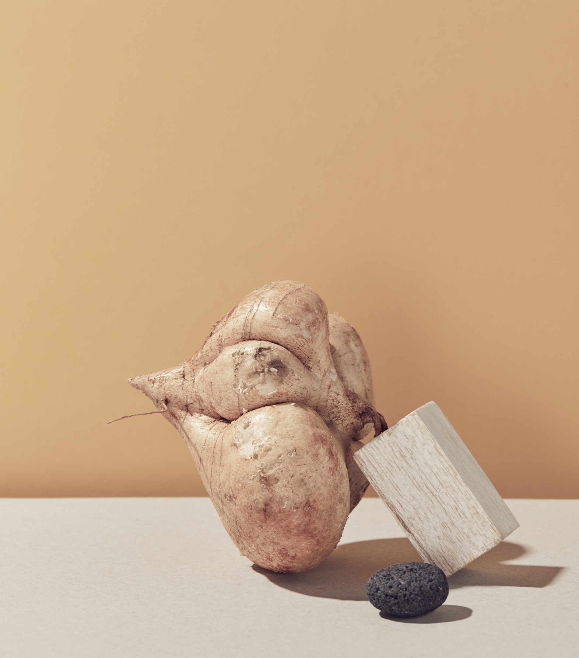 Still life of jicama with gray rock and wooden block against a light brown background, showcasing textures and earthy color palette.