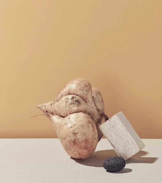 Still life of jicama with gray rock and wooden block against a light brown background, showcasing textures and earthy color palette.