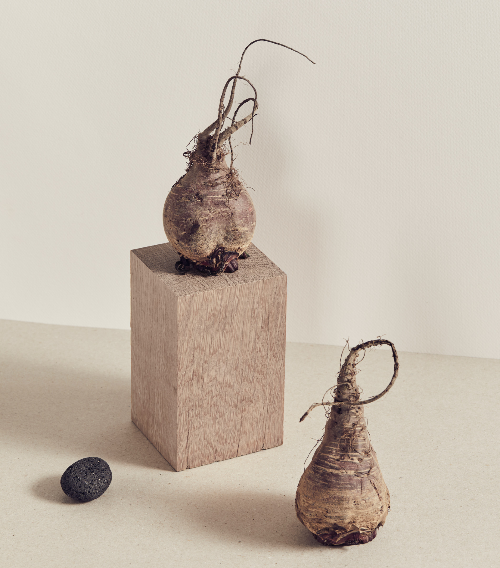 Two beetroots, one on a wooden block, and a volcanic rock arranged on a beige surface against a light beige background.