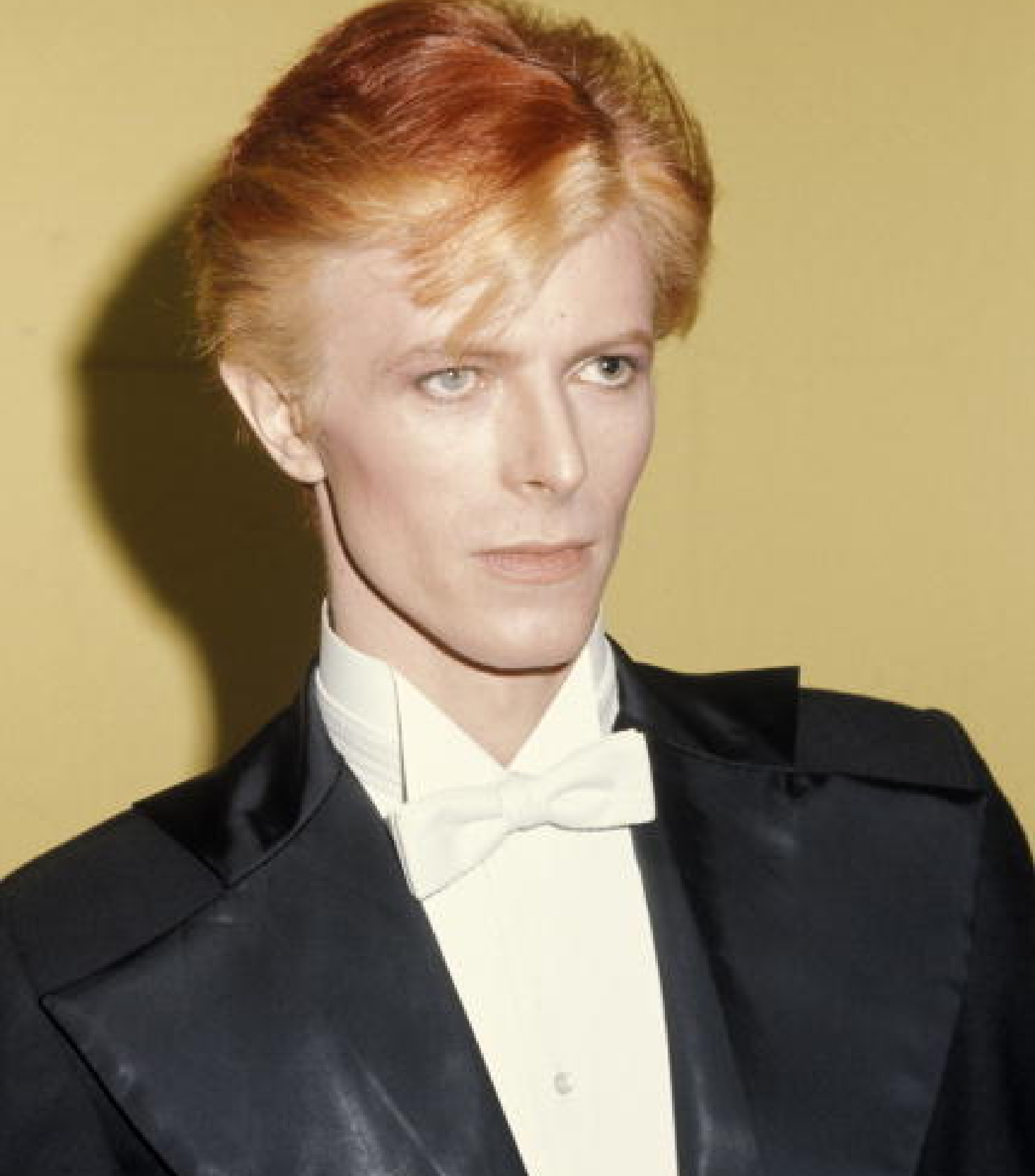Close-up portrait of a light-skinned adult male with orange-blonde hair wearing a black tuxedo with a white bow tie against a yellow backdrop.
