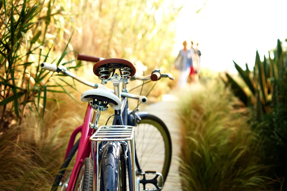 Two bicycles parked on a path with tall grass and blurred figures in background, capturing outdoor lifestyle and natural setting.