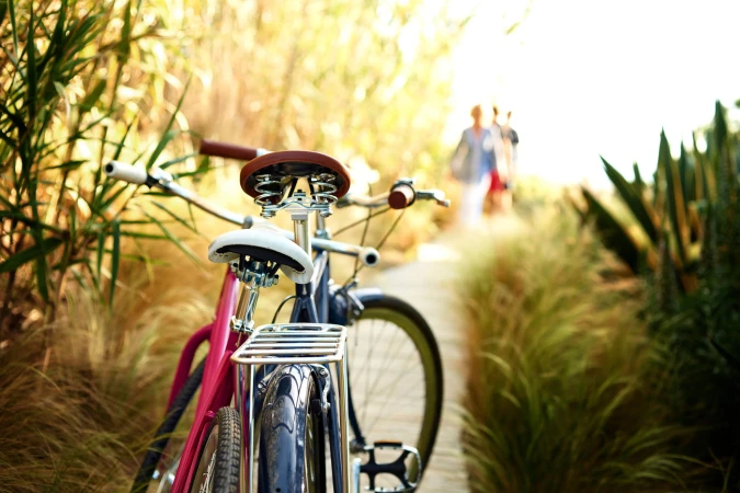 Two bicycles parked on a path with tall grass and blurred figures in background, capturing outdoor lifestyle and natural setting.