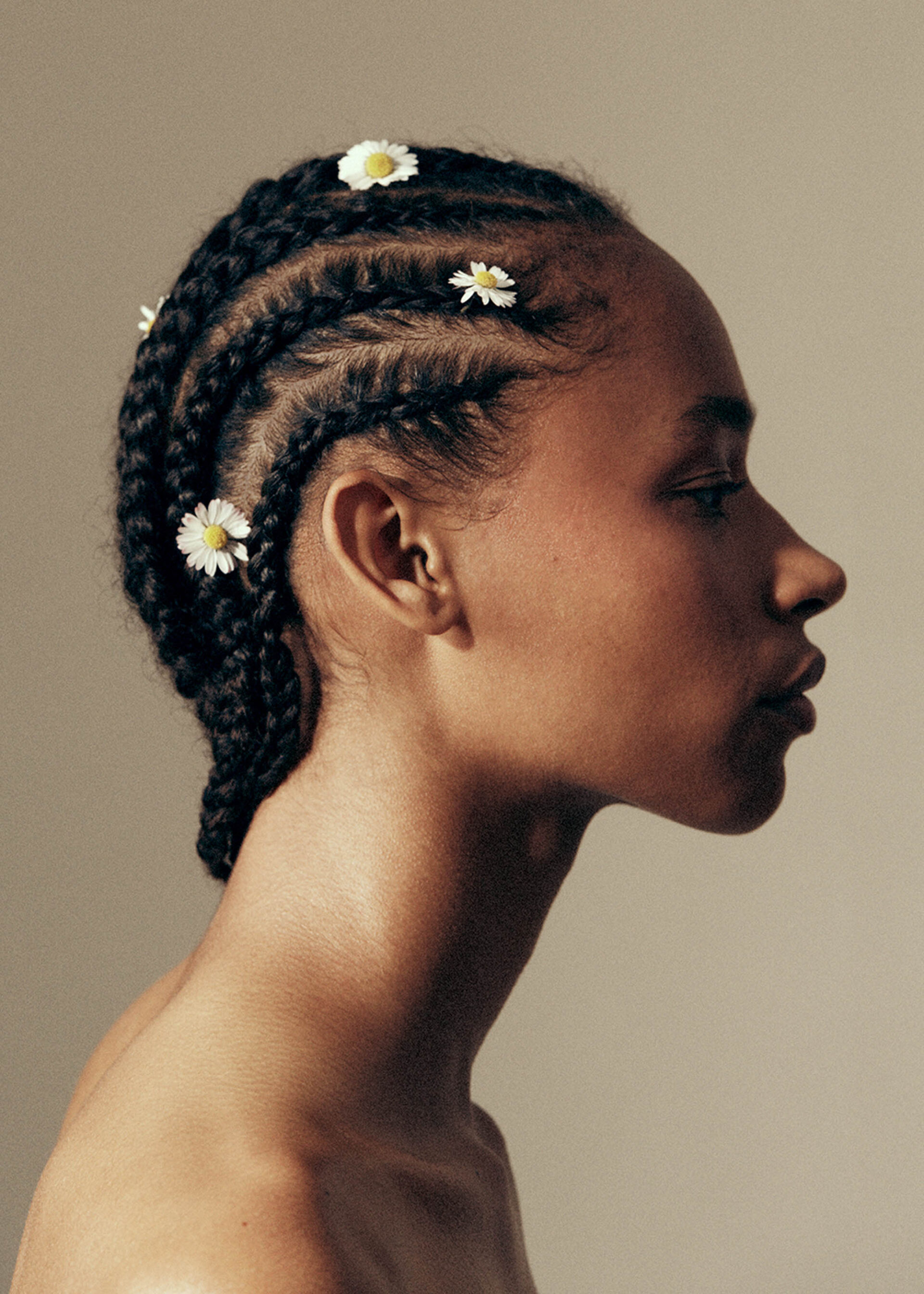 Portrait of a woman with dark braided hair adorned with daisies. Soft, neutral lighting. Beauty and fashion shot, profile view.