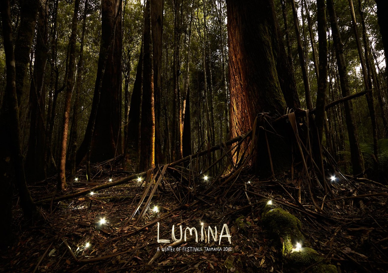 Dark forest floor with glowing lights along the path, tall trees reaching into the distance, moody lighting. Tasmania, Australia.