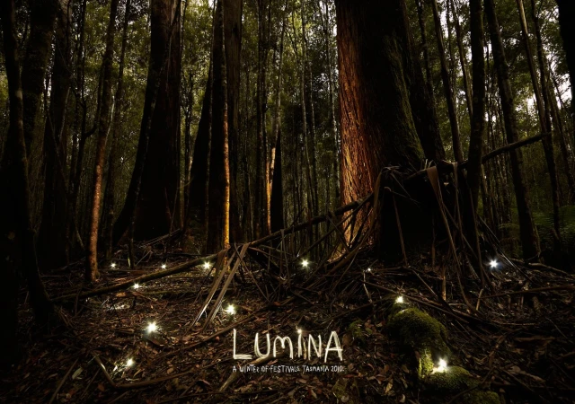 Dark forest floor with glowing lights along the path, tall trees reaching into the distance, moody lighting. Tasmania, Australia.