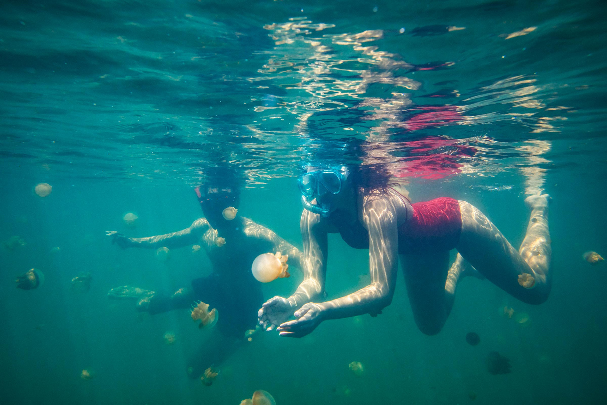 Two snorkelers swim underwater surrounded by jellyfish in clear, turquoise water; the scene suggests aquatic exploration and adventure.
