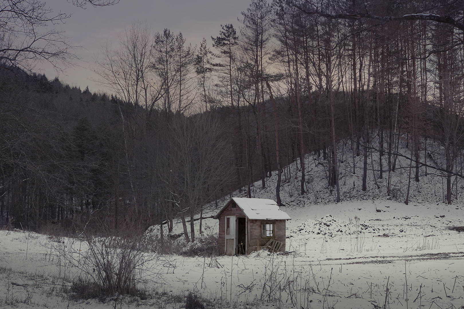 Rustic wooden shed nestled in a snow-covered field, surrounded by bare trees and a dense forest backdrop during a winter day.