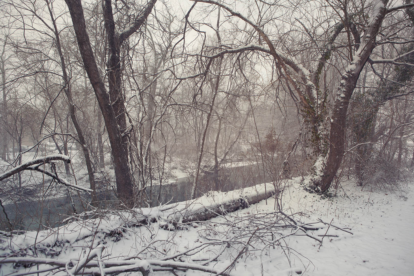 Snowy winter landscape with bare trees along a riverbank covered in snow, creating a serene, cold, and atmospheric scene.