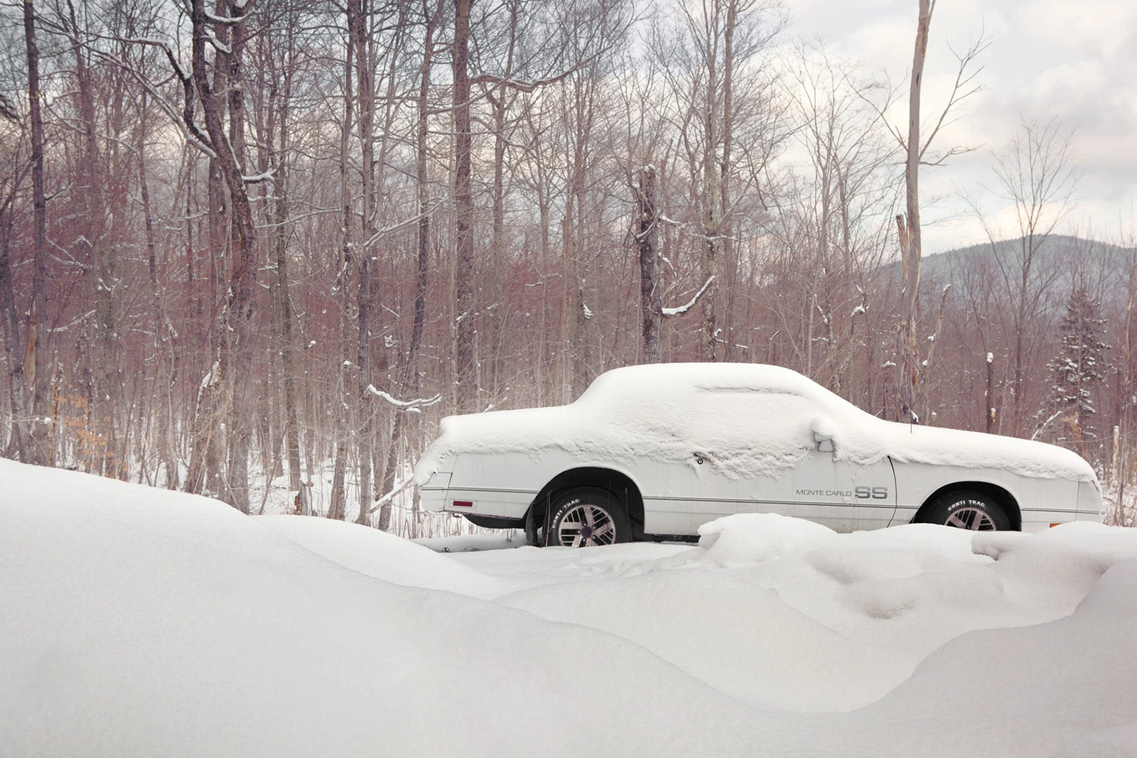 White car completely covered in fresh snow parked among bare winter trees in a snowy forest landscape.