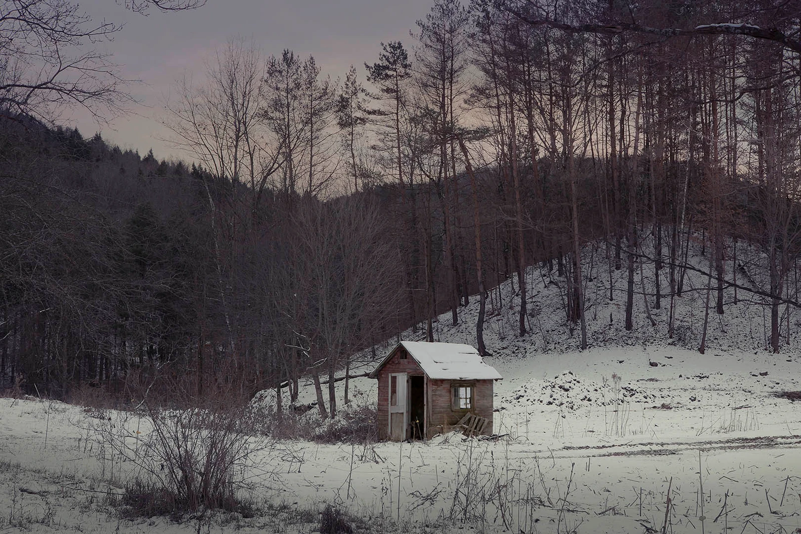 Small weathered wooden shack with a snow-covered roof nestled in a snowy forest landscape under an overcast sky.