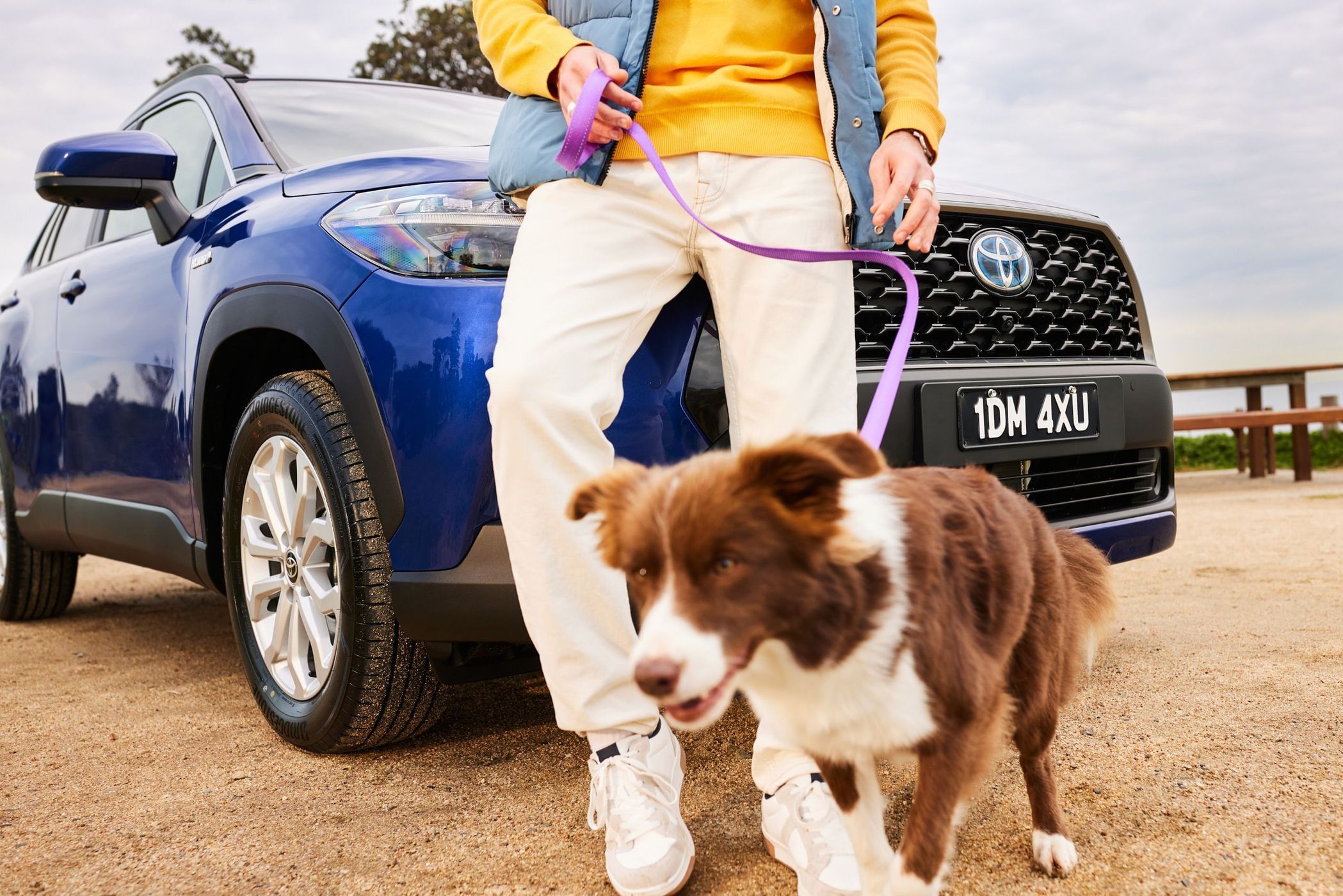 Blue crossover SUV with a brown and white dog on a leash, held by a person wearing a yellow shirt and white pants in an outdoor setting.