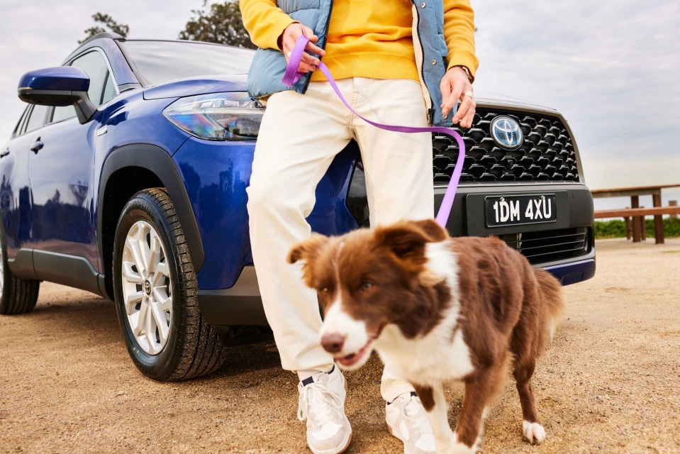 Blue crossover SUV with a brown and white dog on a leash, held by a person wearing a yellow shirt and white pants in an outdoor setting.