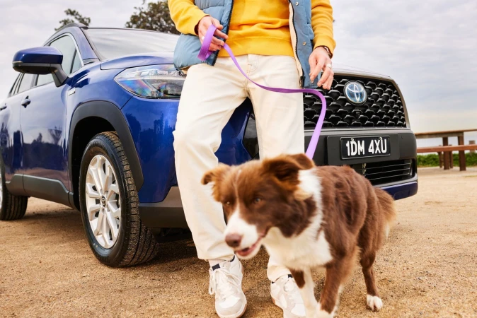 Blue crossover SUV with a brown and white dog on a leash, held by a person wearing a yellow shirt and white pants in an outdoor setting.