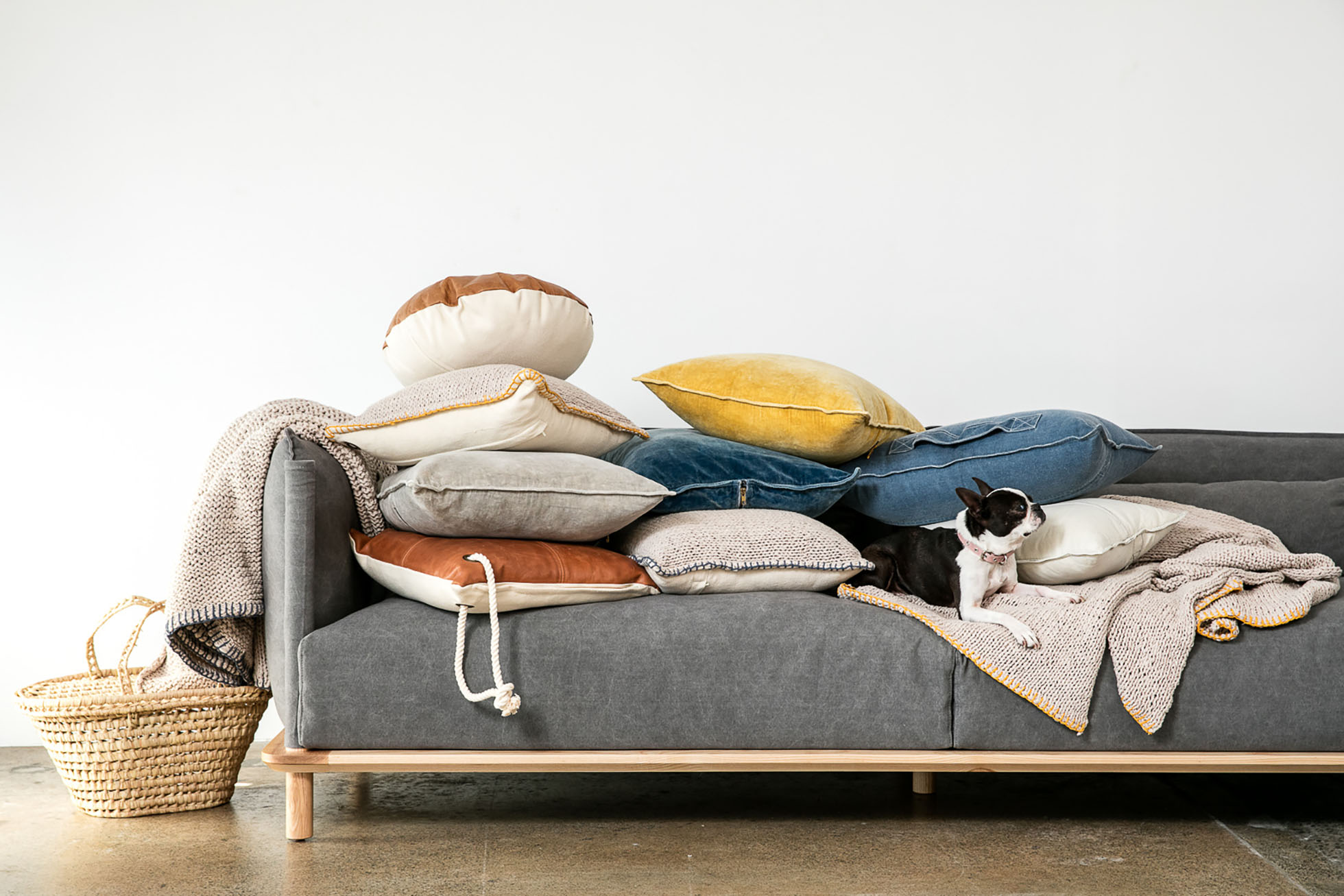 Boston Terrier lounges on a grey couch amidst a pile of throw pillows and a woven basket in a brightly lit indoor setting.