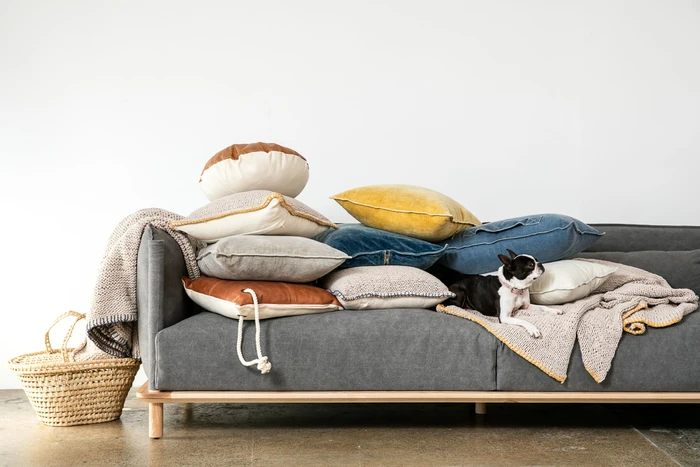 A dark grey sofa piled with various textured pillows and a Boston terrier dog sitting on a knit throw blanket.