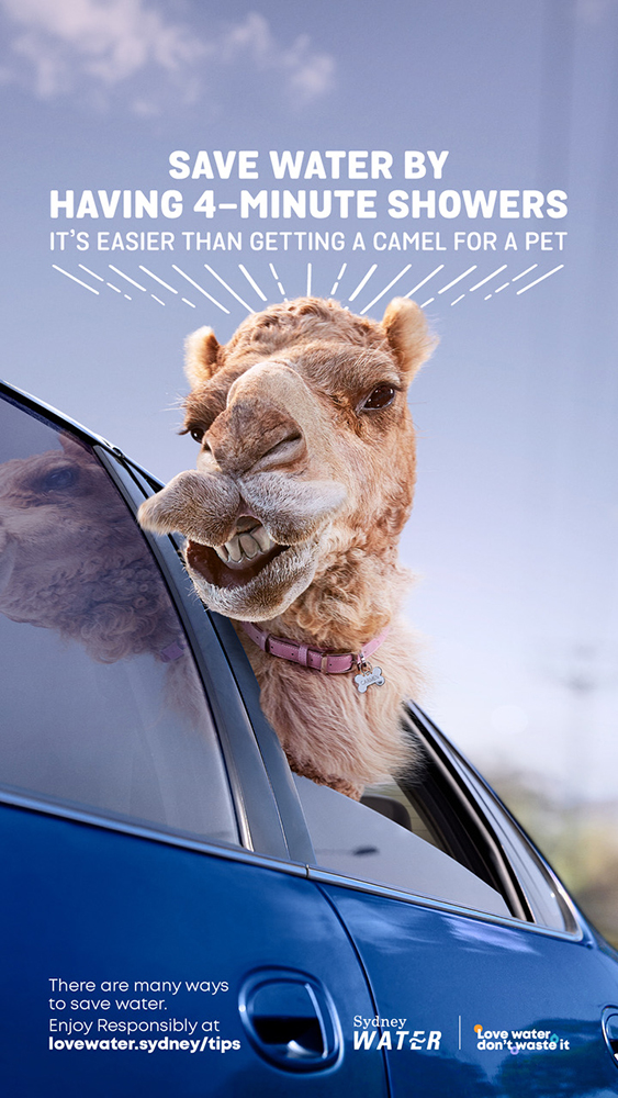 Humorous ad for Sydney Water shows a camel looking out a car window, suggesting saving water is easier than getting a camel for a pet.