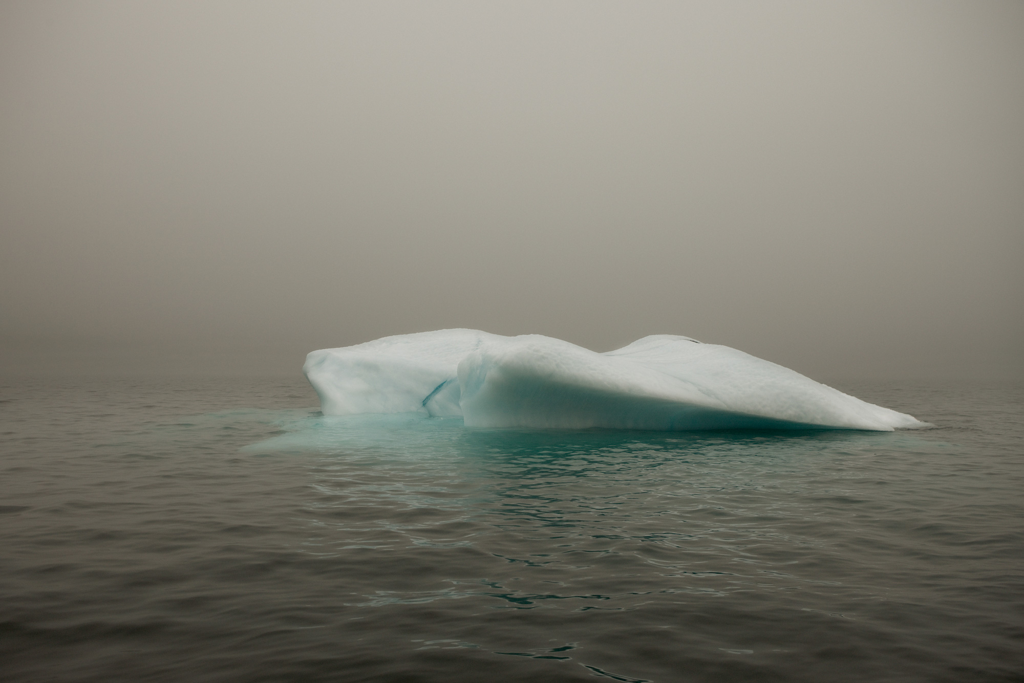 A large iceberg floats in a calm, dark ocean under a foggy sky. The iceberg's bluish-white color contrasts with the cool environment.