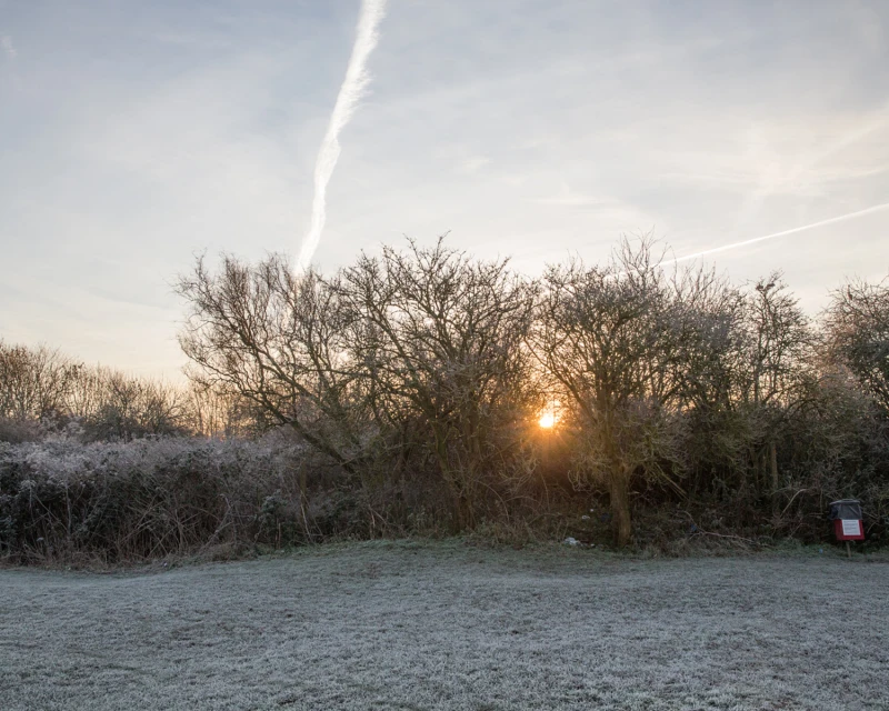 A landscape view of a frosted field and bare trees silhouetted against the morning sunrise, creating a tranquil winter scene.