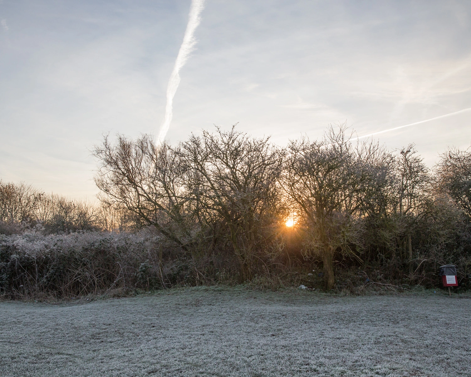 Frost-covered field and bare trees at sunrise with a vapour trail in the pale sky, captured by photographer Simon Harsent.