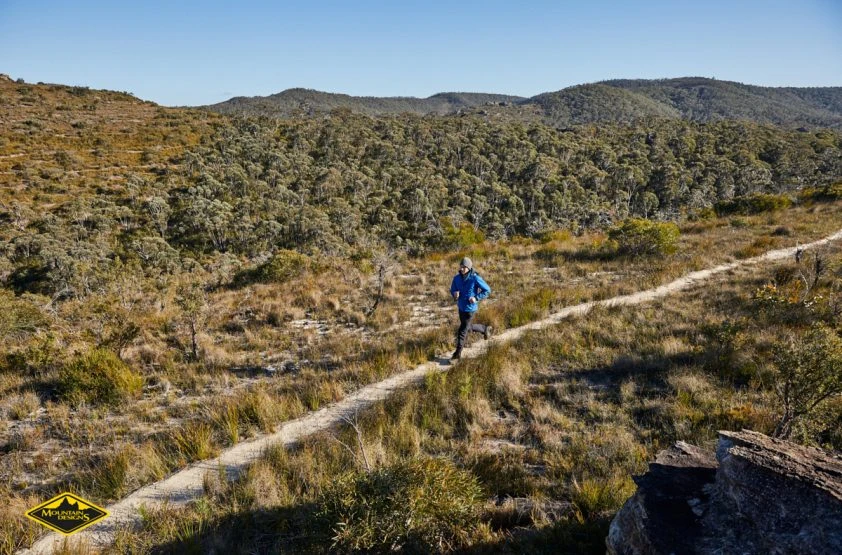 Person trail running in a rugged mountain landscape on a sunny day with blue skies and green trees in the background.
