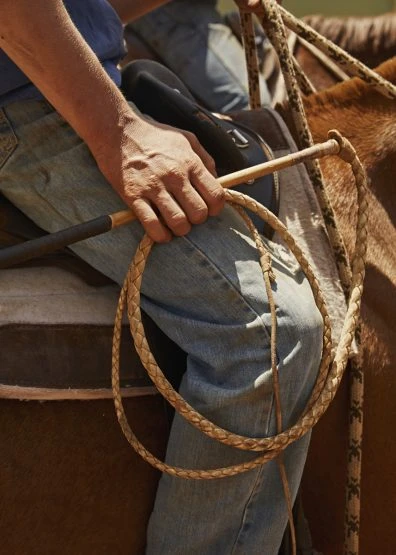 Close-up of a person on horseback holding a braided leather whip, showcasing their hands, jeans, and the horse's side.