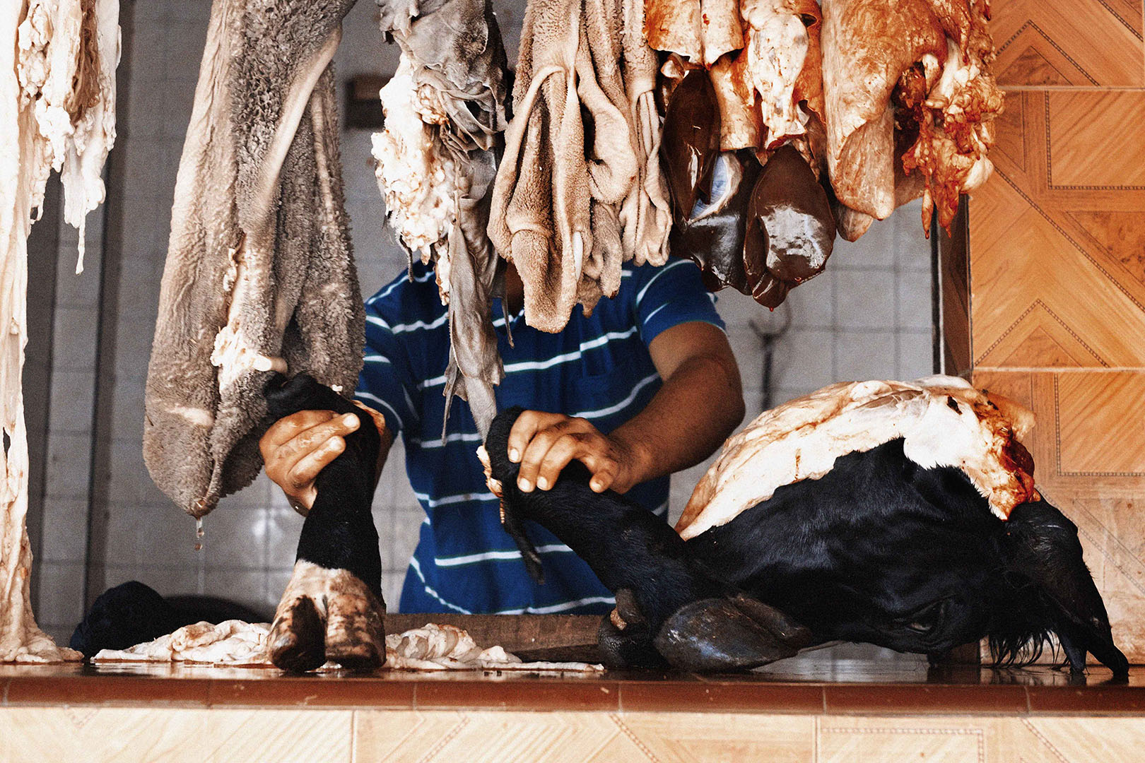Butcher preparing meat cuts and tripe in a commercial setting with tiled background and counter, captured in a medium, eye-level shot.